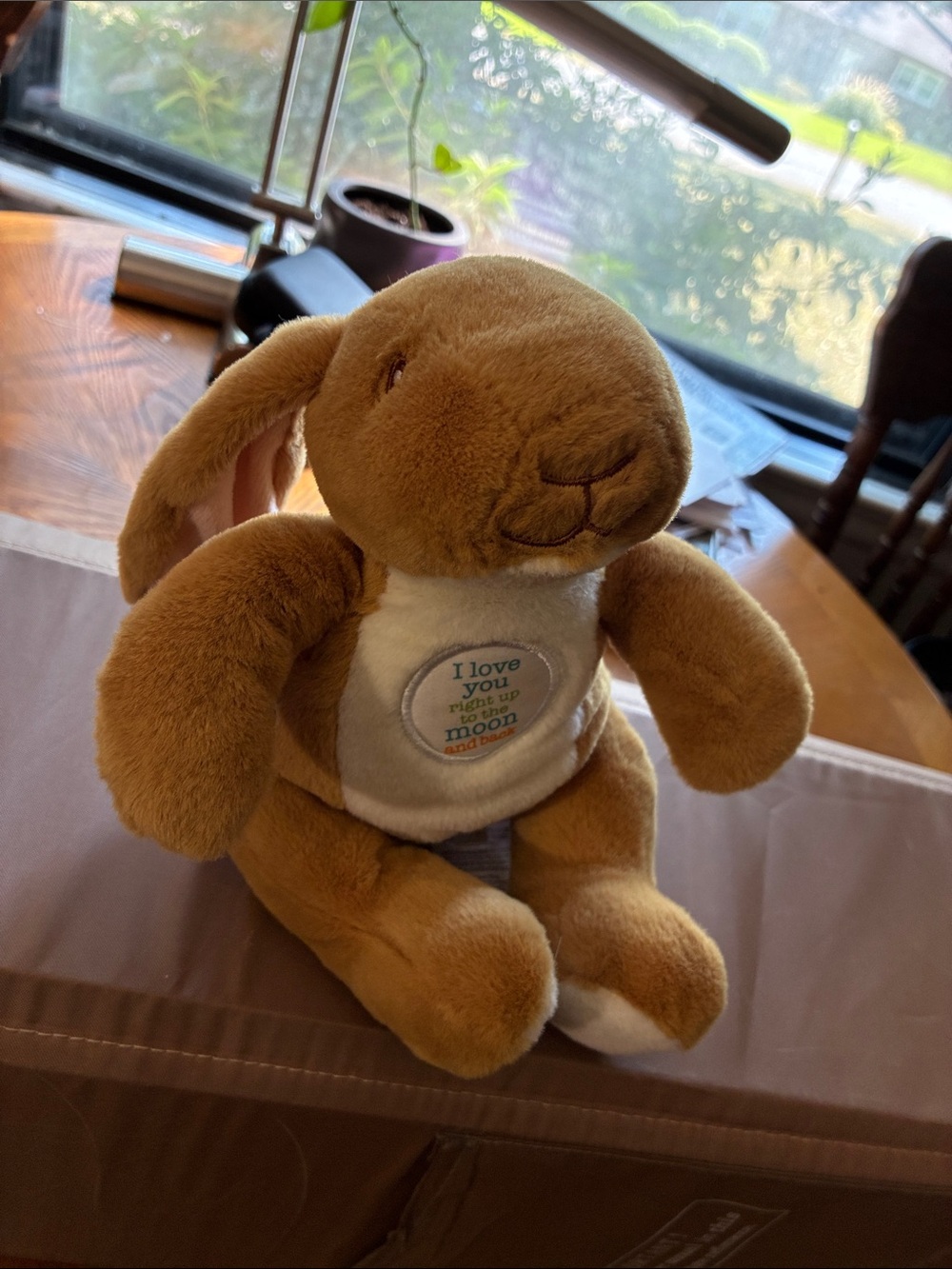 Plush Brown Bunny with White Chest Patch - I Love You Embroidered